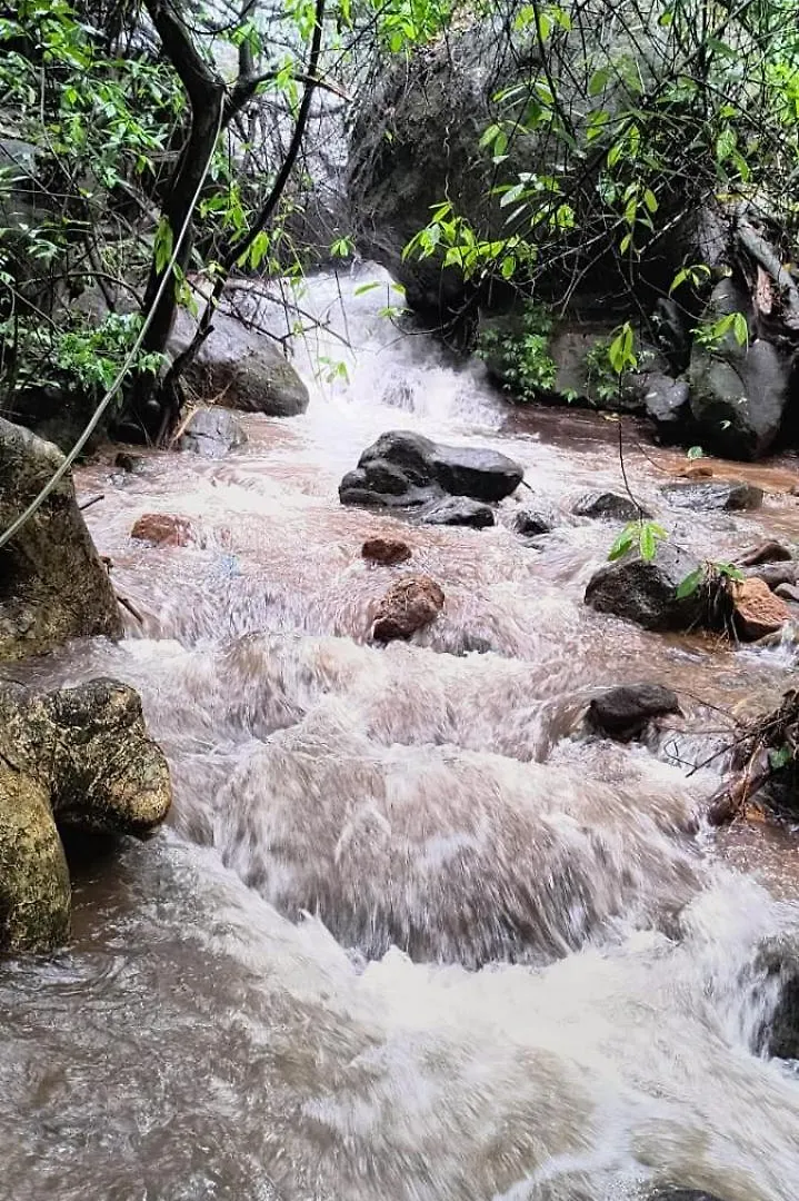 民宿 Ferns N' Falls Chinnakanal