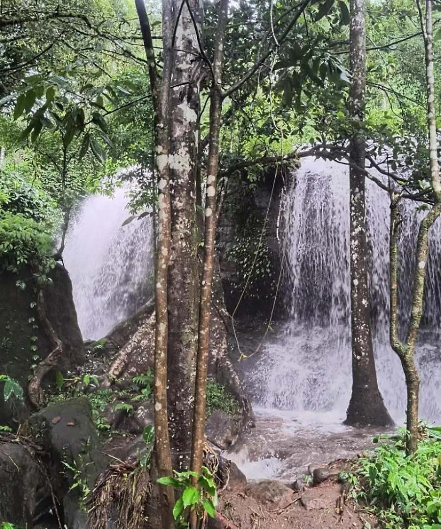 Ferns N' Falls Chinnakanal 民宿